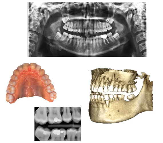 All clinical images in one database